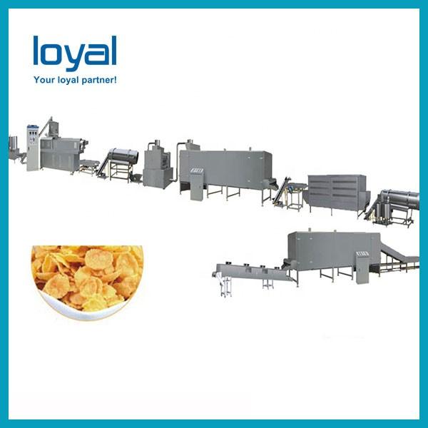 Honey frosting choco ring ball Corn flakes snack manufacturer extruder line machine importer